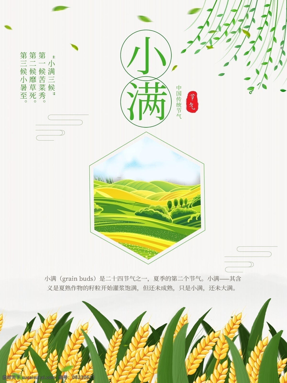 二十四节气 小满 节气 海报 24节气 初夏 小清新 草木绿 中国风 水墨 创意 简洁 大方 广告 宣传 夏至 大暑 小暑 夏天到了 夏季海报 夏天 树叶 叶子 天气 清新 日历风格 中国 简约风格 小麦 节气展板 展板 海报下载 下载海报