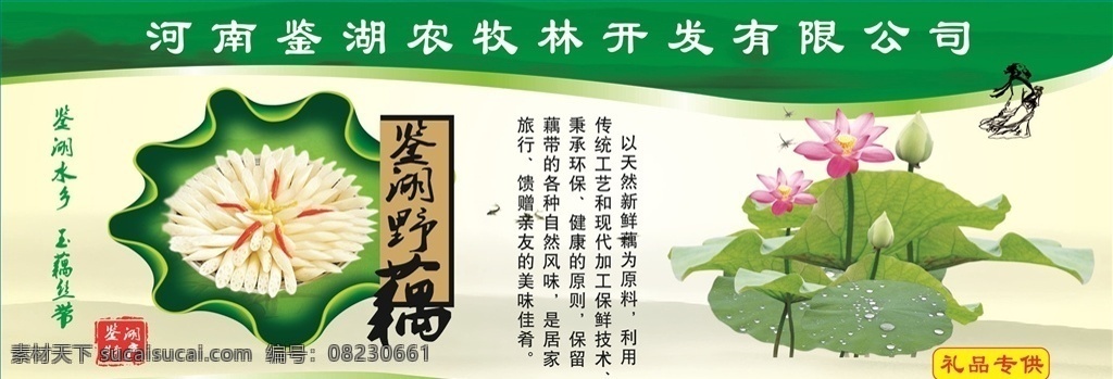 藕 养生 美容 不干胶 名片