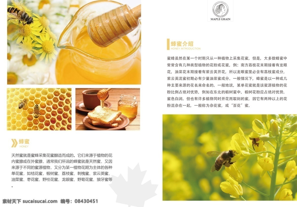 优质蜂蜜 蜂蜜海报 蜂蜜宣传单 海报 b5宣传单 分层