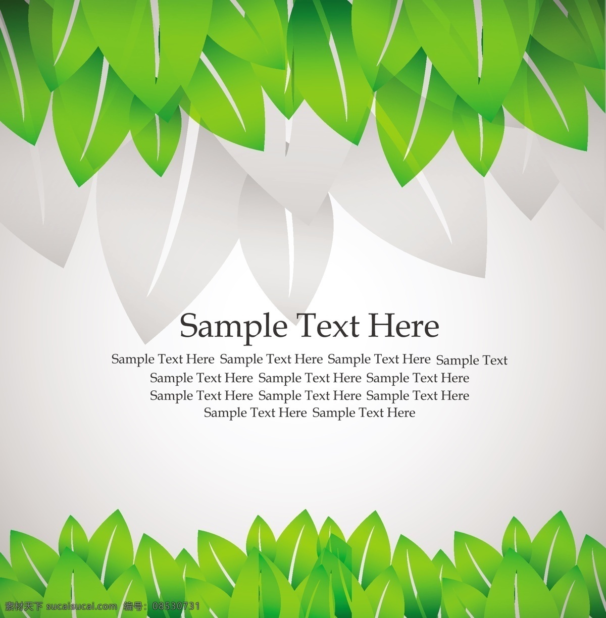 滚动 角 叶 矢量 卷 绿 纸类 液滴
