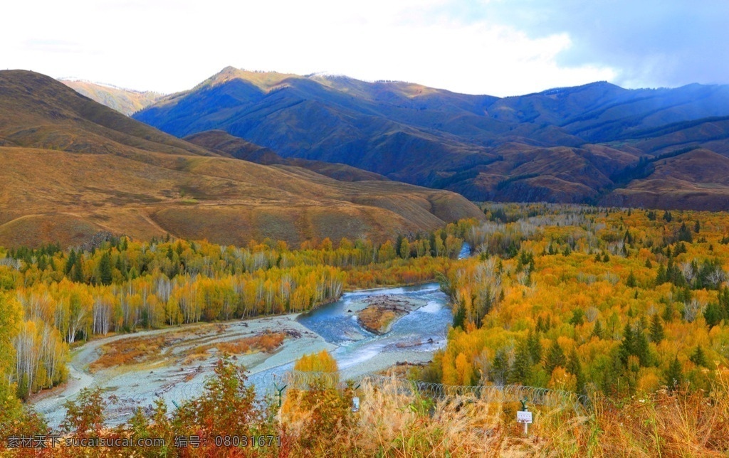 喀纳斯风光 喀纳斯风景 新疆风光 新疆 喀纳斯 新疆喀纳斯 喀纳斯湖 秋 秋天 金秋 喀纳斯秋色 秋天的风景 喀纳斯之秋 秋天的树叶 喀纳斯秋叶 喀纳斯湖风光 自然景观 风景名胜