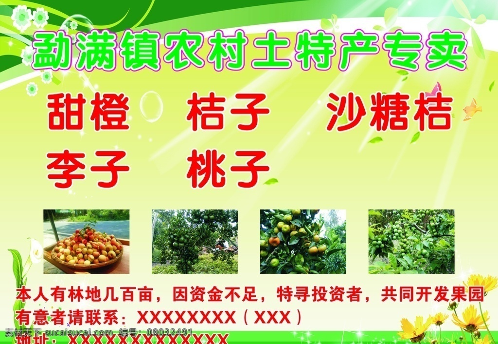 农村土特产 绿色背景 水果海报 云南水果 水果