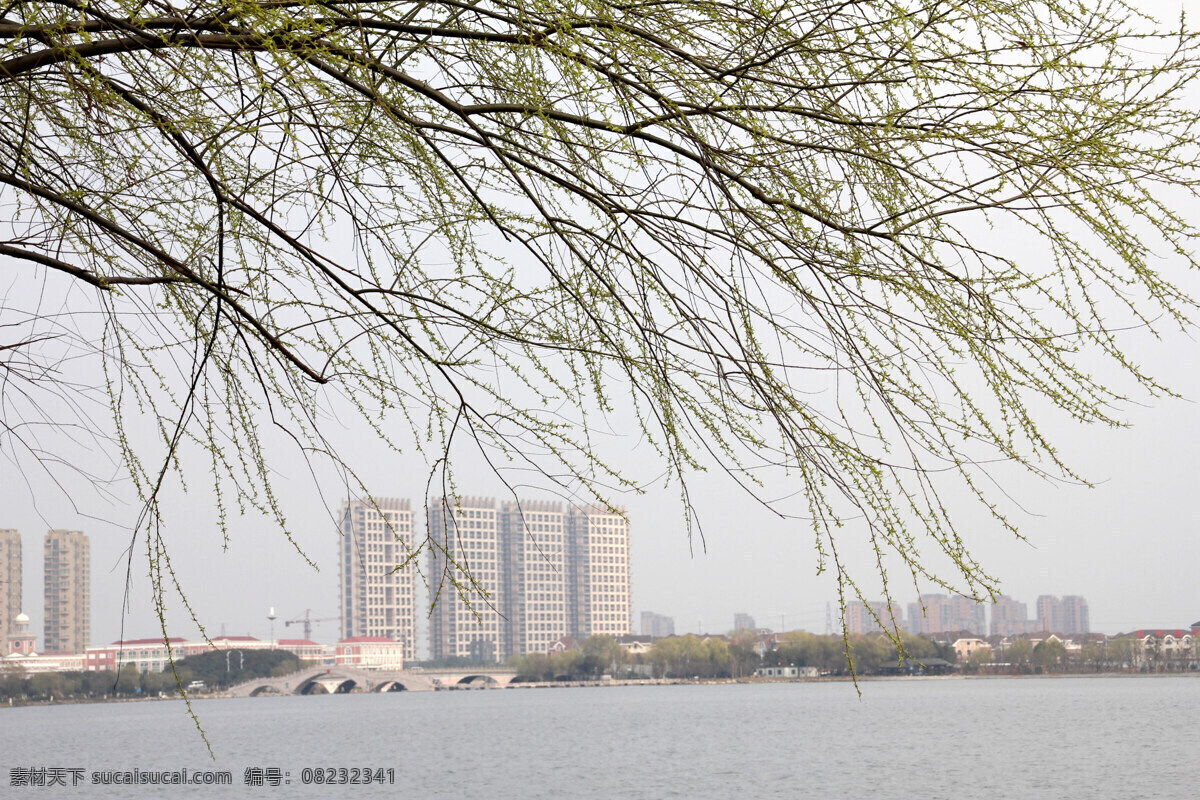 春天 发芽 高楼大厦 湖水 柳树 树木 下午 瓜渚湖春天 瓜渚湖 柯桥 绍兴 浙江 休闲 阳光 市民 微风 白天 自然风景 自然景观 psd源文件