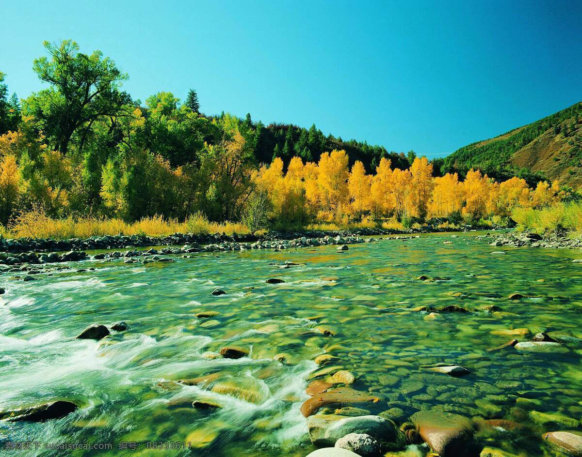 小溪 小河 溪水 河流 山涧 水塘 清澈 自然景观 自然风景 摄影图库