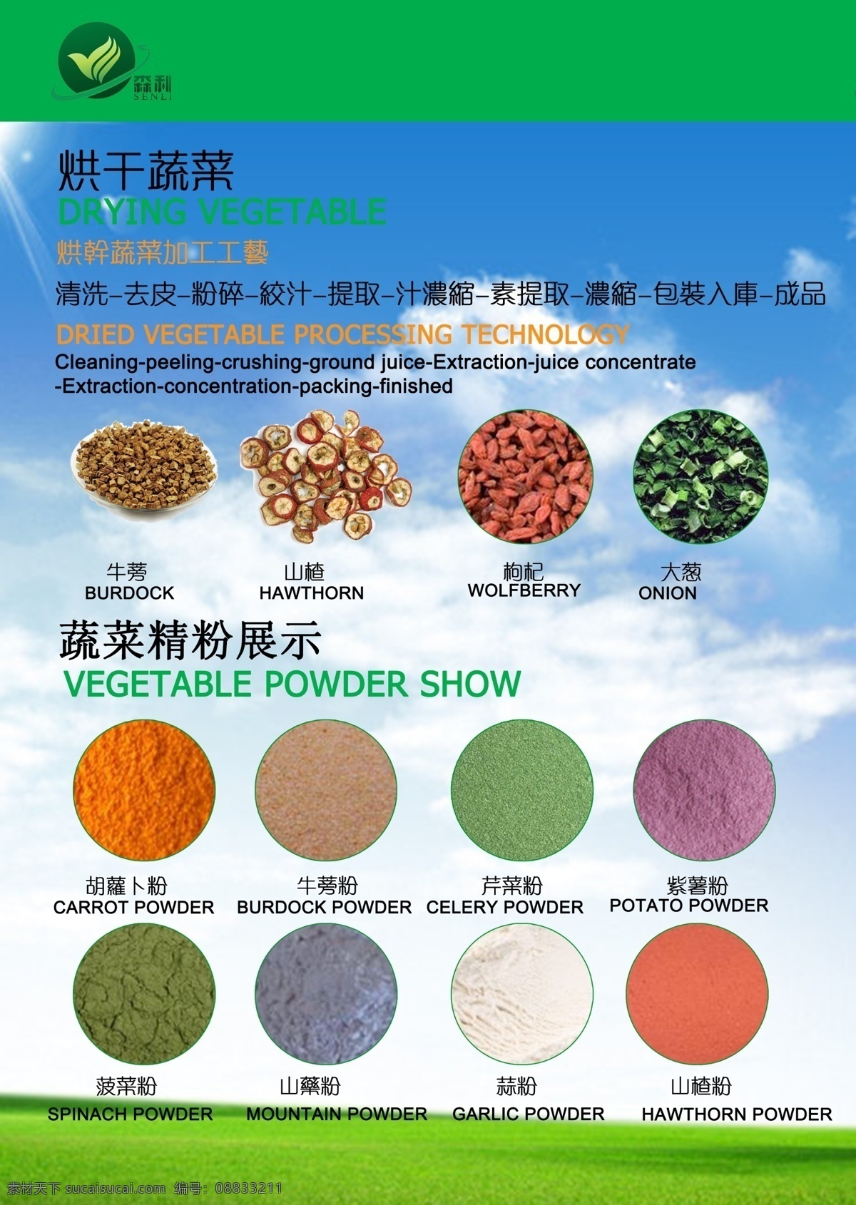广告设计模板 画册设计 绿色 企业 食品 蔬菜 宣传册 模板下载 源文件 其他画册封面