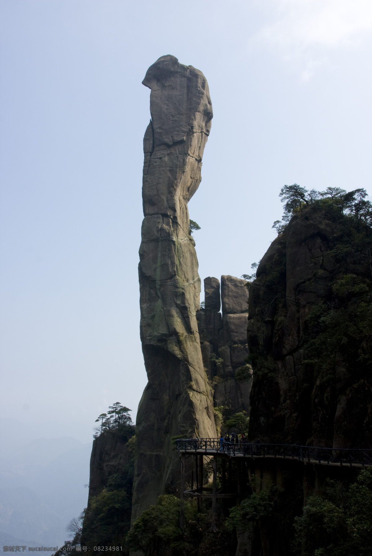 石蛇 三清山 山 劲松 江西 松 石 山水风景 自然景观