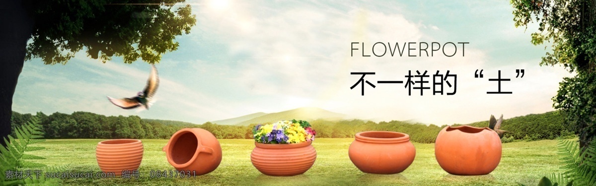 不一样的土 陶罐 花盆 盆栽 海报 首页 展示 白色