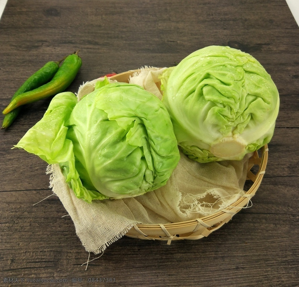 包菜 京包菜 小包菜 圆包菜 卷心菜 生物世界 蔬菜