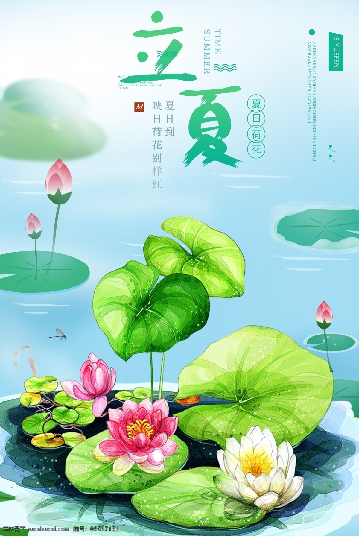 荷塘立夏图 荷塘立夏 清凉一夏 荷花 小青蜓 蓝色天空 清新自然 立夏宣传