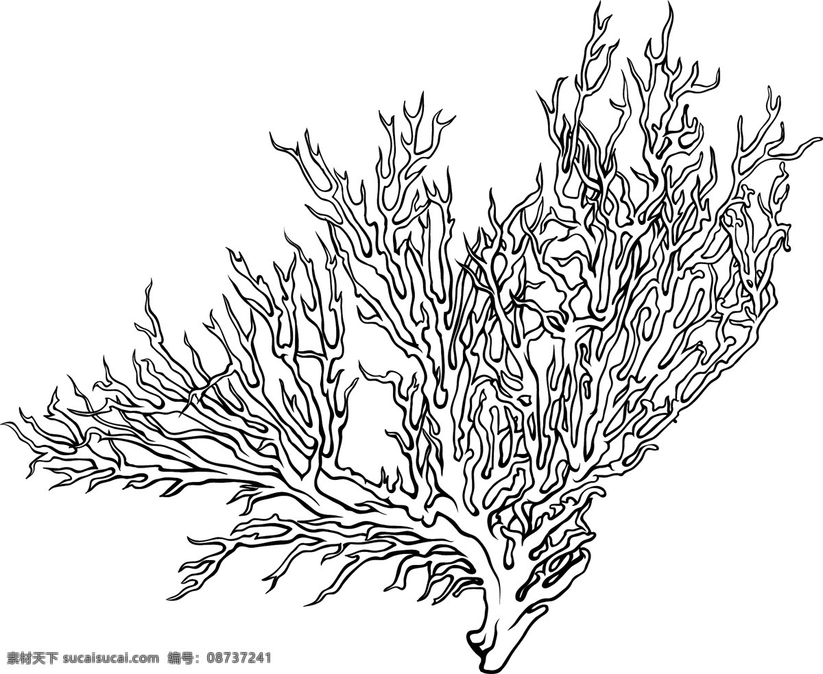 向量 热带 植物 矢量图 其他矢量图