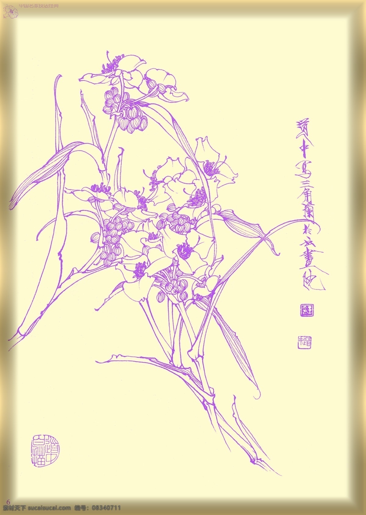 白描花卉 植物 花卉 白描 生物世界 矢量 线描 线画 线稿 中国画 国画 花草 文化艺术 绘画书法