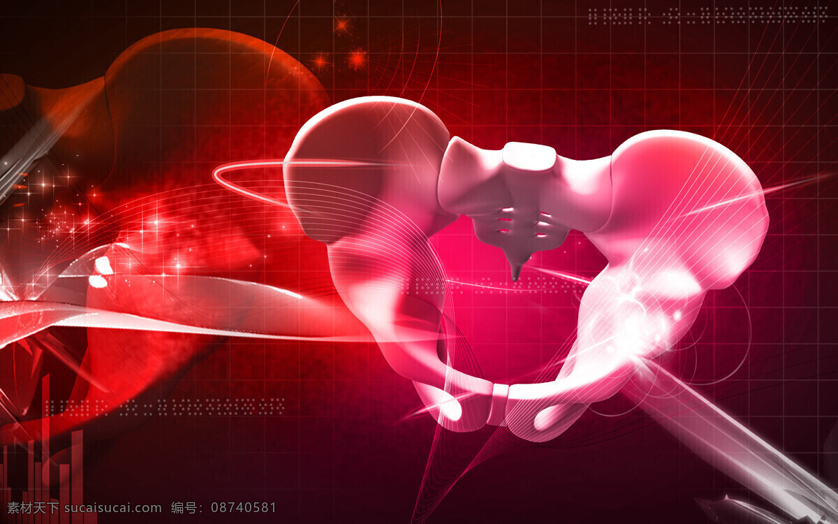 盆 骨 骨架 现代科技 医疗 医疗保健 医疗护理 医学 盆骨 海报 其他海报设计