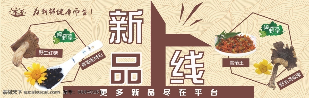 新品上线 淘宝 海报 原创设计