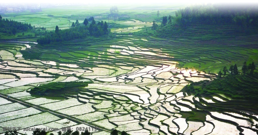 唯美 风景 风光 旅行 自然 绿色 田园 南方梯田 农田 田野 田园风景 乡下 梯田风景 自然景观 自然风景