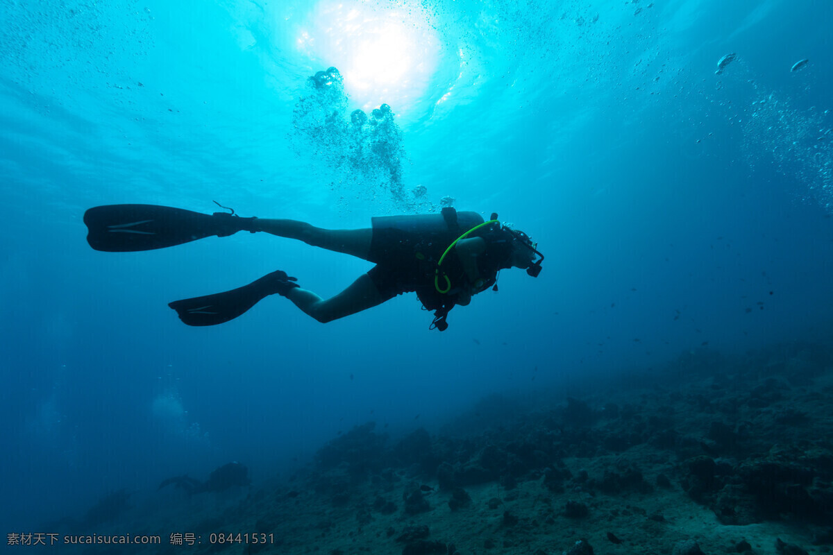 潜水运动 潜水员潜水 潜水员 海洋生物 珊瑚 潜水镜 海底世界 海洋 海洋世界 大海 海底 深海 潜水 海鱼 商务 人物 科技 运动 文化艺术 体育运动