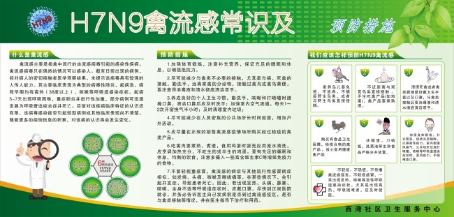 h7n9 流感 宣传栏 健康教育 禽流感常识 禽流感 预防措施