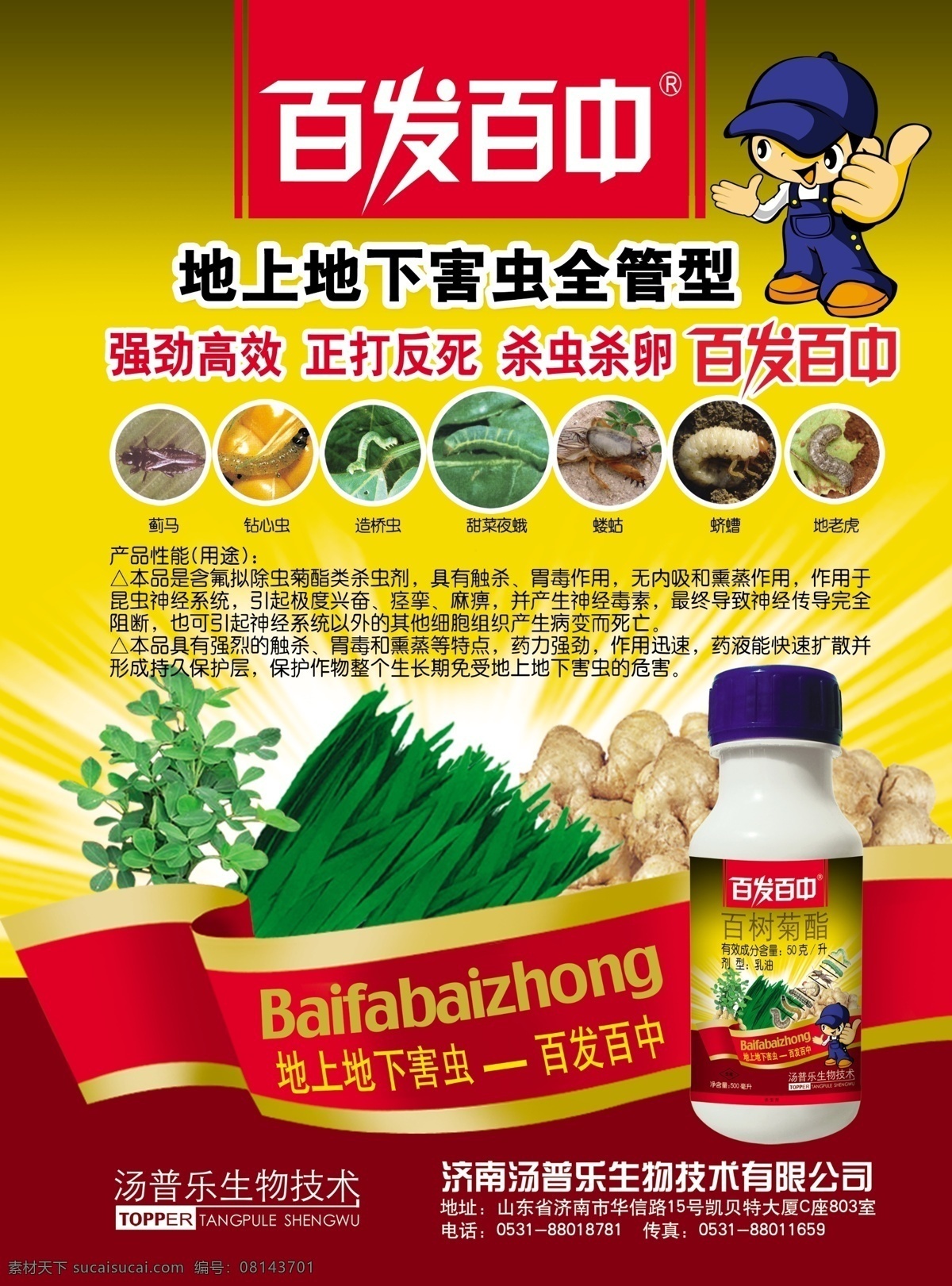 百发百中 宣传海报 农药 除虫 药瓶 彩带 大姜 花生 韭菜 卡通人 虫子 蛴螬 蓟马 甜菜夜蛾 dm 报纸 广告设计模板 源文件