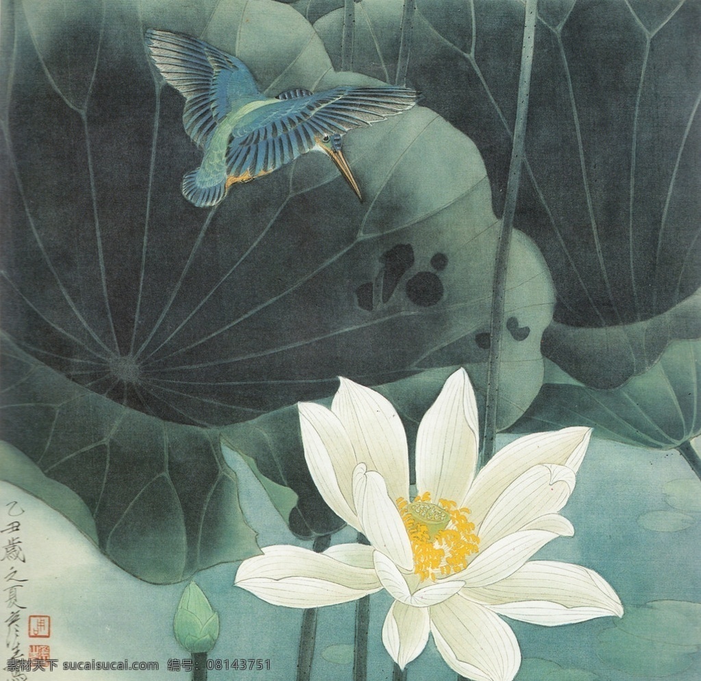 出浴 美术 绘画 中国画 工笔重彩画 花鸟画 翠鸟 荷花 白荷花 荷叶 书法 印章 国画艺术 工笔 专 揖 绘画书法 文化艺术