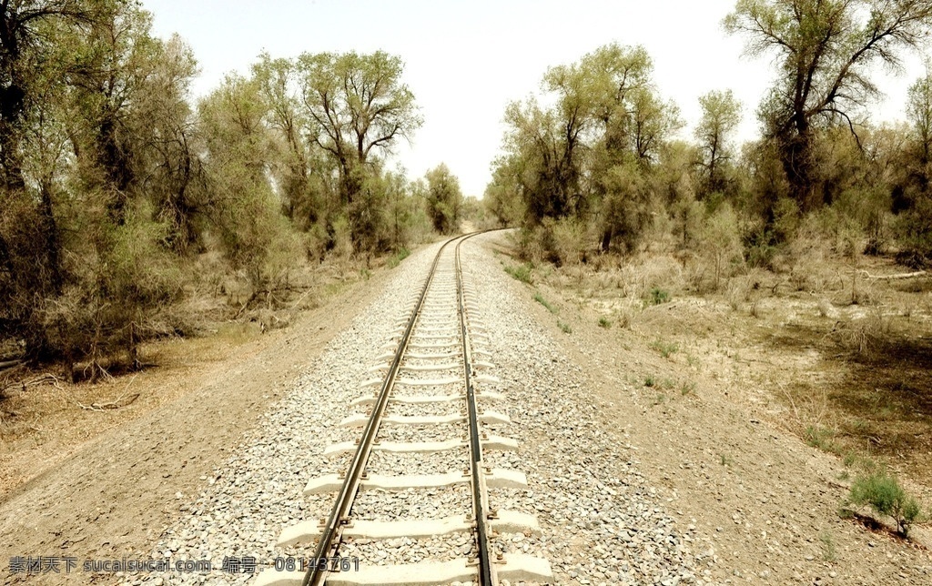 铁道 轨道 胡杨树 枕木 新疆风光 新疆旅游 旅游风光 自然风景 旅游摄影