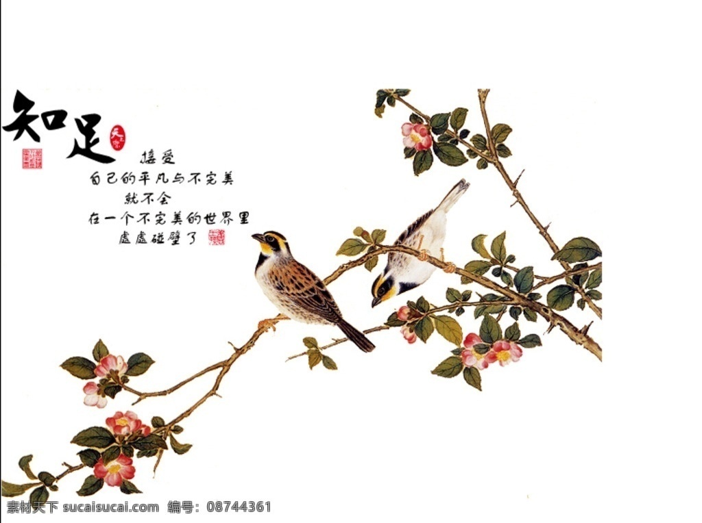 励志名言 励志 花鸟 知足 名言 文化艺术