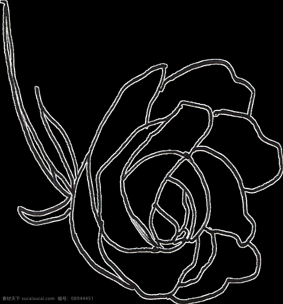素描 花蕊 卡通 水彩 透明 花束 黑白 透明素材 免扣素材 装饰图案