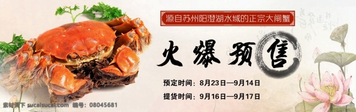 鄱阳湖 正宗 大闸蟹 正宗大闸蟹 大闸蟹广告 火爆预售 原创设计 原创网页设计
