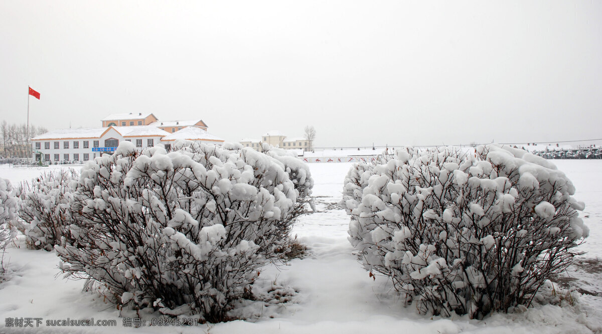 操场 冬天 风景 教育 树木 校园 雪地 中学 自然风景 自然景观 根河 一中 雪景 根河市 榆叶梅 psd源文件
