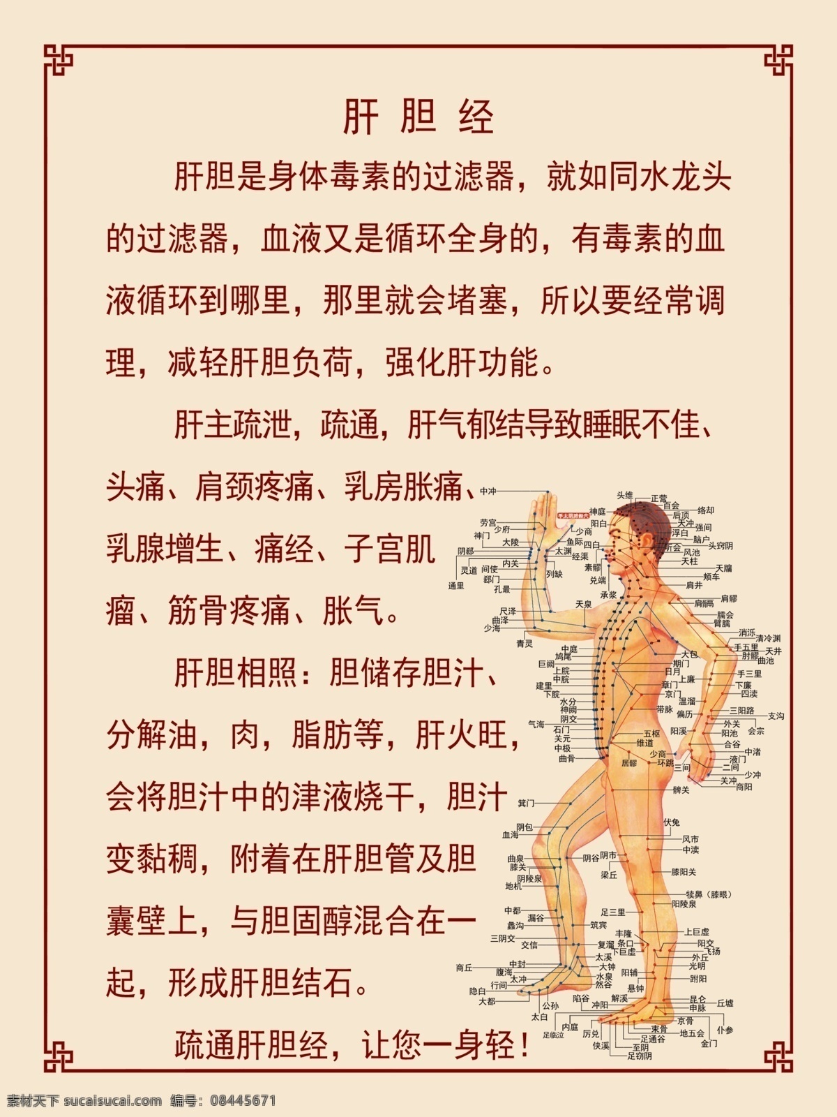 易筋洗髓 易筋 洗髓 肝胆经 分层