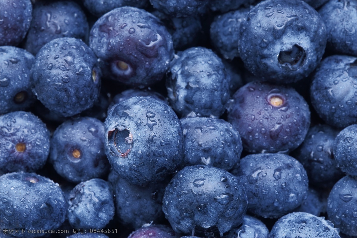 蓝莓面包 蓝莓味 蓝莓汁 鲜蓝莓 水果类 分层