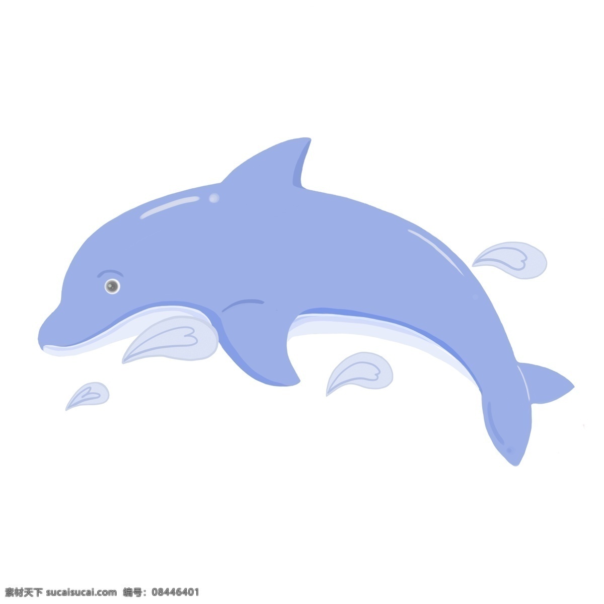 海豚海洋生物 海洋生物 海豚 蓝色海豚
