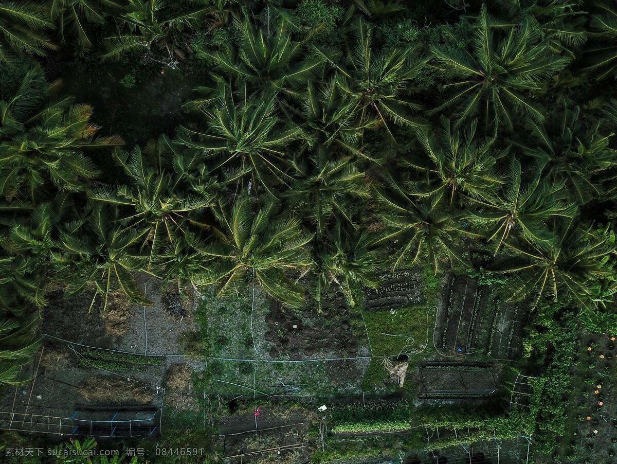 纹理 背景墙 风景 背景 装饰画 景象 外国素材 欧式