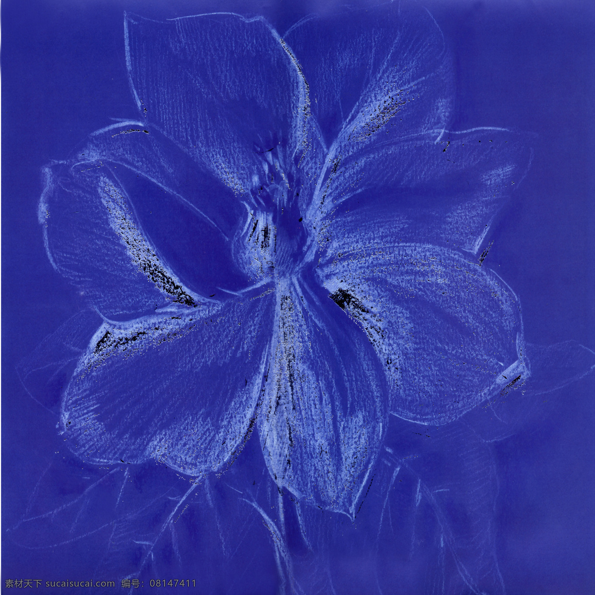 蓝色 盛开 花朵 油画 植物 花卉 装饰画 绘画 壁画 墙画 艺术 书画文字 文化艺术
