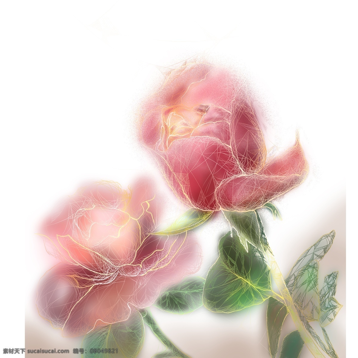 唯美 手绘 两 只 玫瑰花 元素 卡通 透明质感 插画 花朵 植物