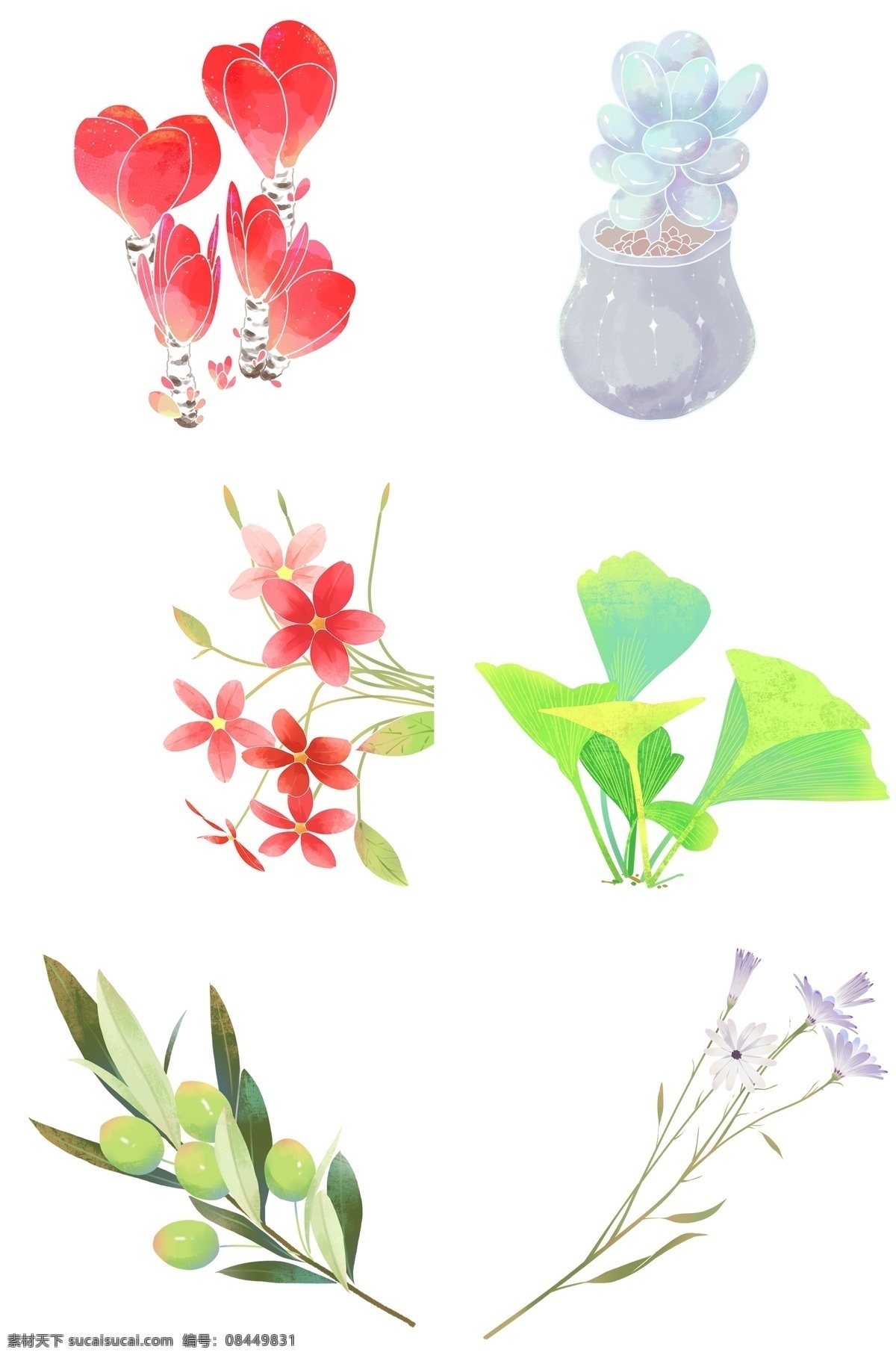 卡通 手绘 水彩 植物 插画 小清新 花卉 花草 插画设计 红花 多肉 小草 三叶草