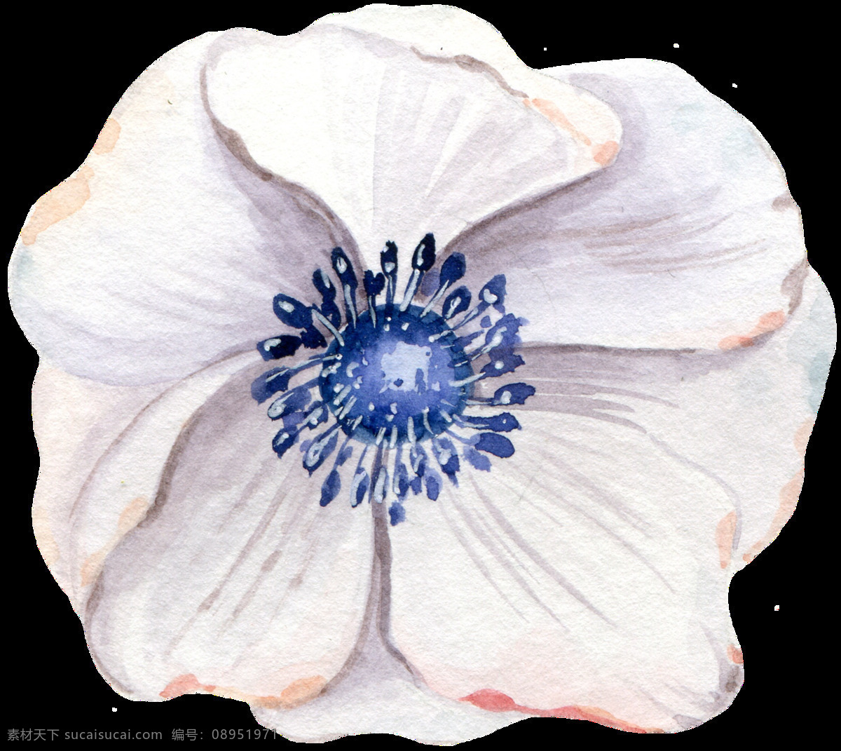高雅 白色 花卉 透明 装饰 图案 设计素材 png元素