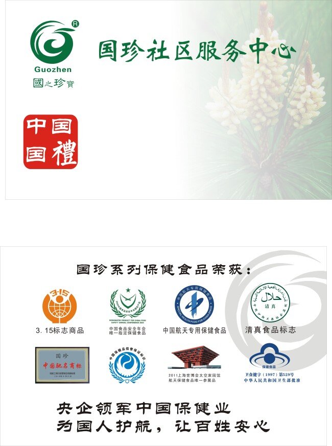 国 珍 名片 名片卡片 国珍名片 标志 logo 松花图片 松花 名片卡 广告设计名片