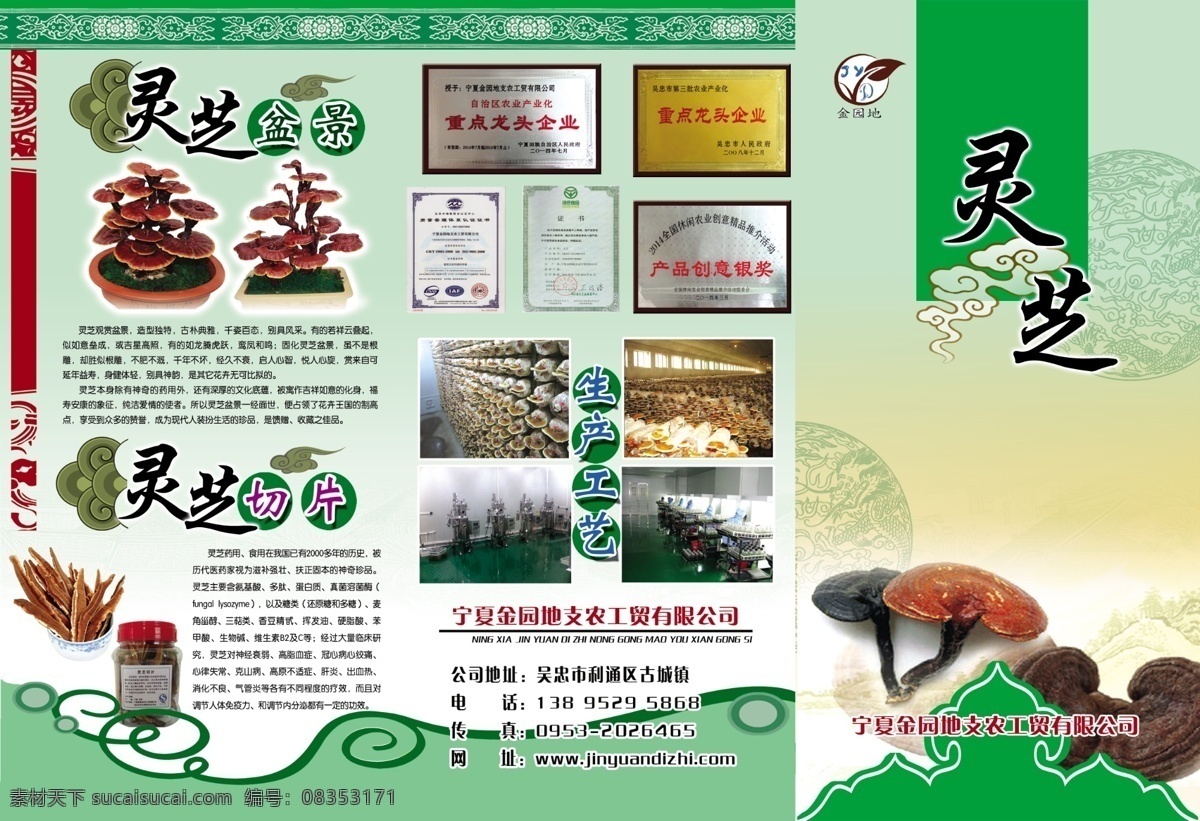 灵芝折页 灵芝作用 灵芝药效 灵芝种植 灵芝价值 灵芝介绍