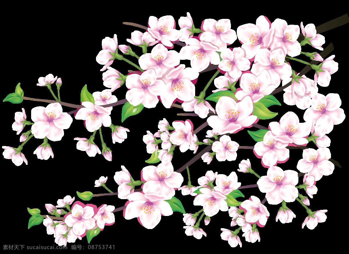 花朵 浪漫花 花素材 装饰花纹 矢量花 矢量元素 免扣元素 粉色桃花 桃花枝 花卉素材 桃 植物 花 粉色的花 桃树 桃树枝 桃枝 桃花素材 桃花元素 春天 春天素材 装饰植物 桃花装饰 装饰