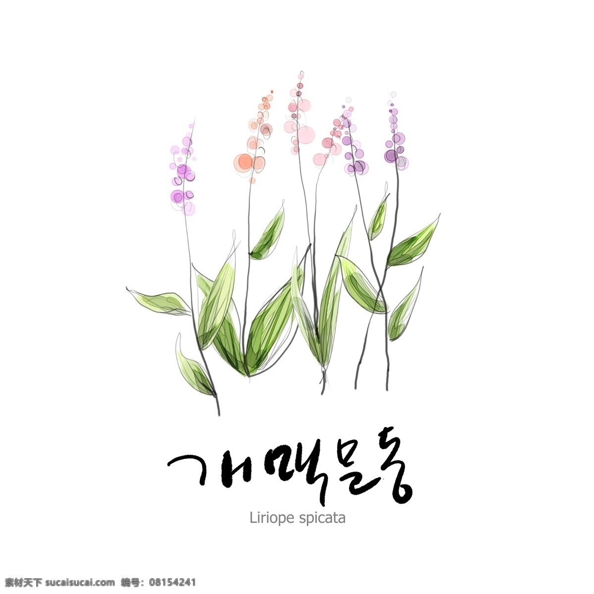 花草 手绘 美图 ps 生物世界