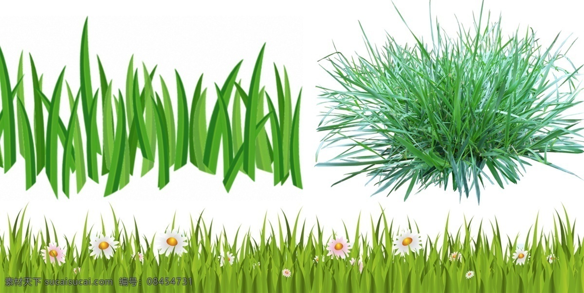 草 免 扣 高清 素材图片 草png 草psd文件 草免扣素材 草素材 草png素材 各种 生物世界 花草