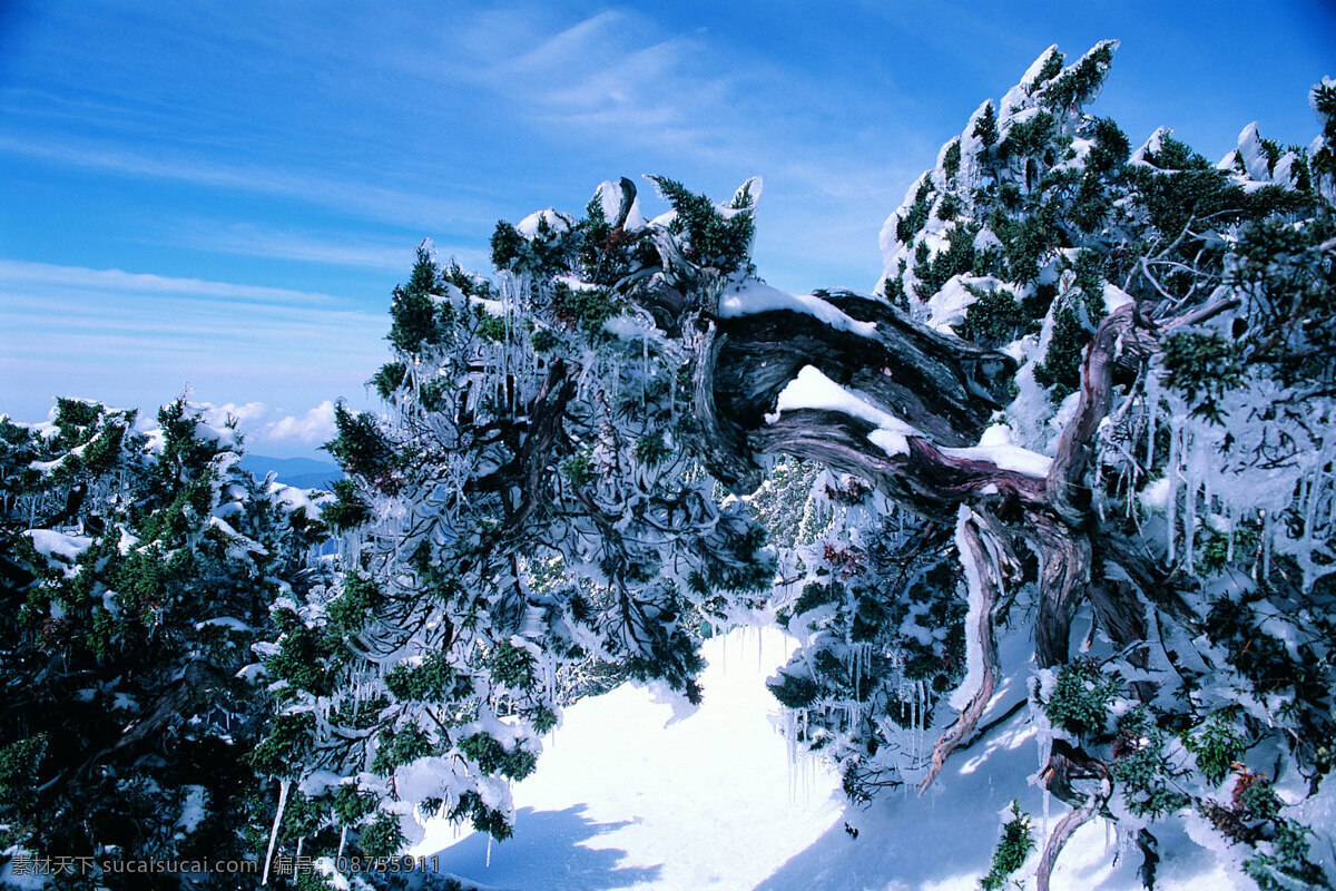 冬天 雪景 白雪 背景 冬天雪景 风光 风景 季节 摄影图库 自然 自然景观 自然风景 生活 旅游餐饮