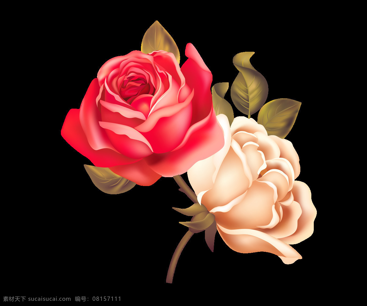 手绘 时尚 质感 玫瑰花 玫瑰 大气 花朵 浪漫