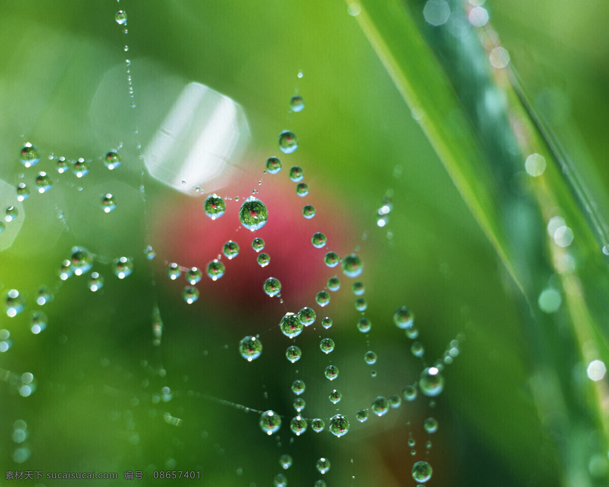 水免费下载 纯净 晶莹剔透 涟漪 洒水 水杯 水滴 水泡 水纹 水珠 旋涡 水 水域 湿润 风景 生活 旅游餐饮