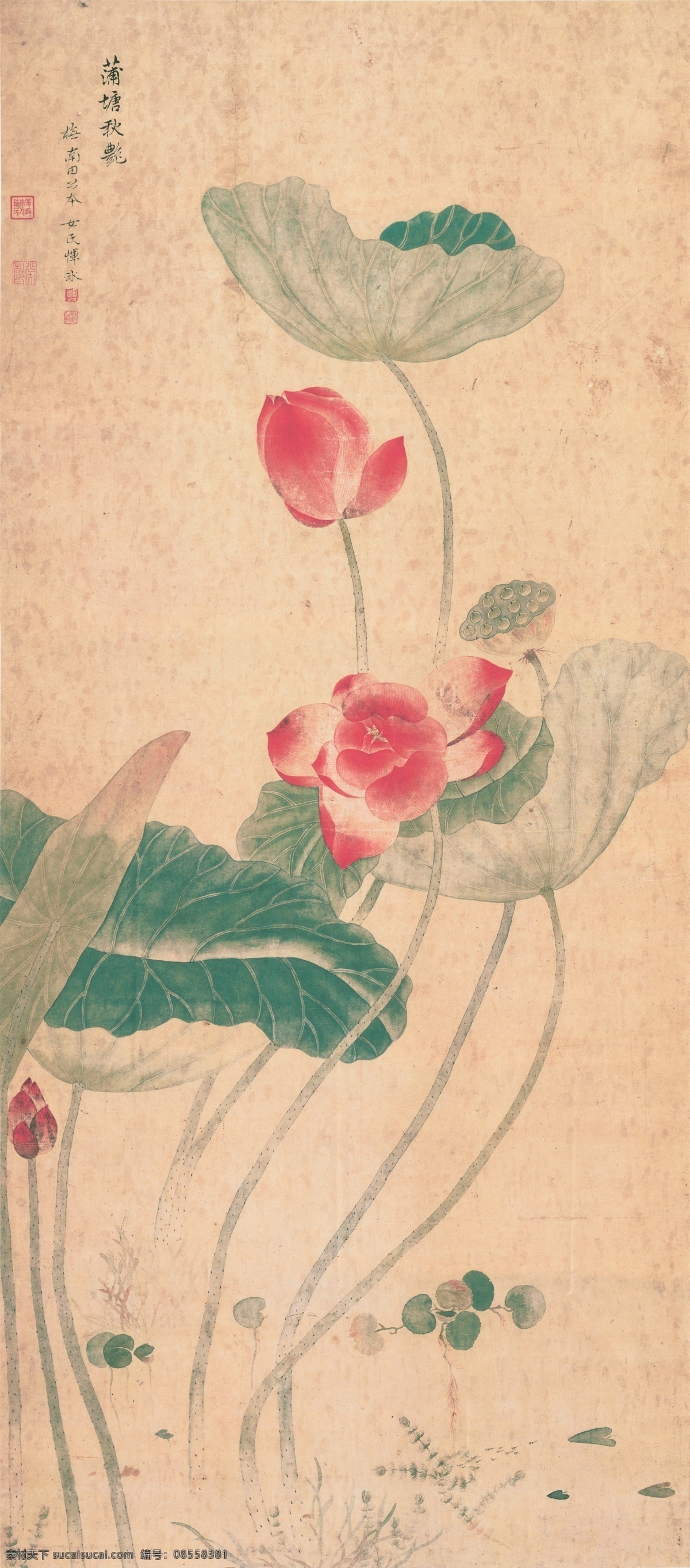 清 恽寿平 蒲塘秋艳图 古画 中国画 工笔画 工笔画鸟 工笔 古代 花鸟画 古画图 工笔画素材 国画 水墨工笔画 工笔画画稿 写意绘画 文化艺术 绘画书法 高清 工笔画展 历代古画