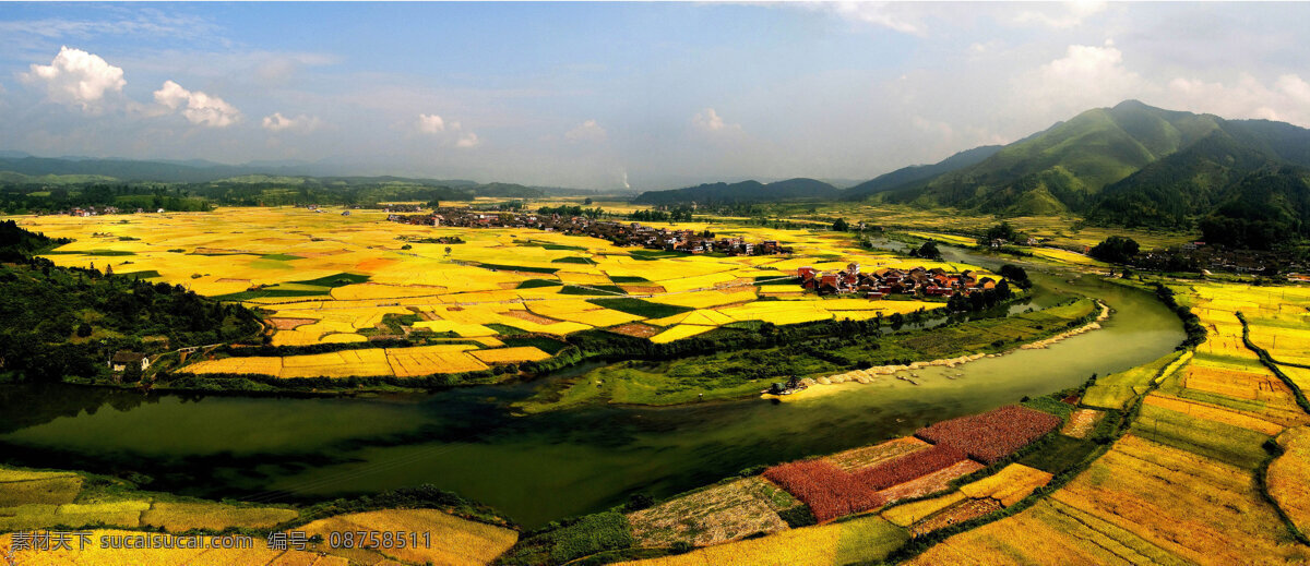 田野 田野风光 金色田野 稻谷 摄影图 风景 田园风光 自然景观