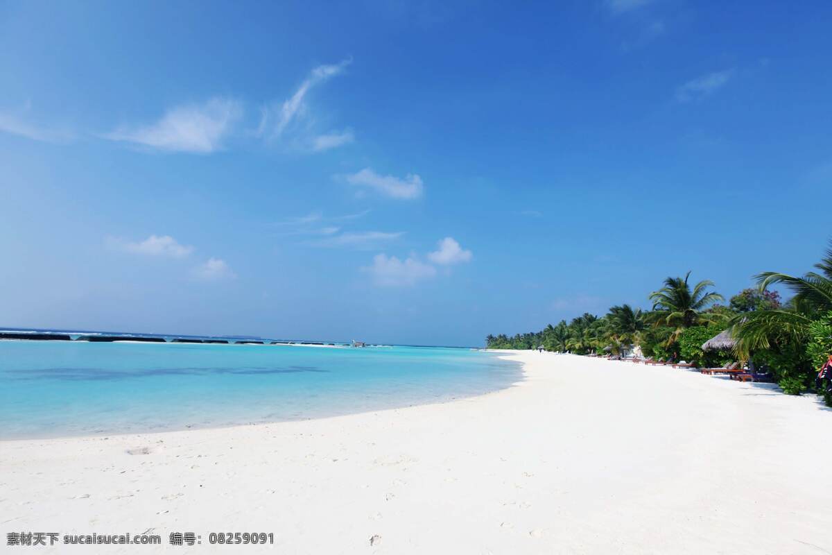 马尔代夫 旅游胜地 海滩 椰子树 晴朗 海边 海岛 小岛 沙滩 森林 度假村 热带 清澈 梦幻 唯美 加勒比海 斐济 海洋 大海 美景 风景 景色 风光 景观 壮观 人间天堂 世外桃源 国外旅游摄影 国外旅游 旅游摄影