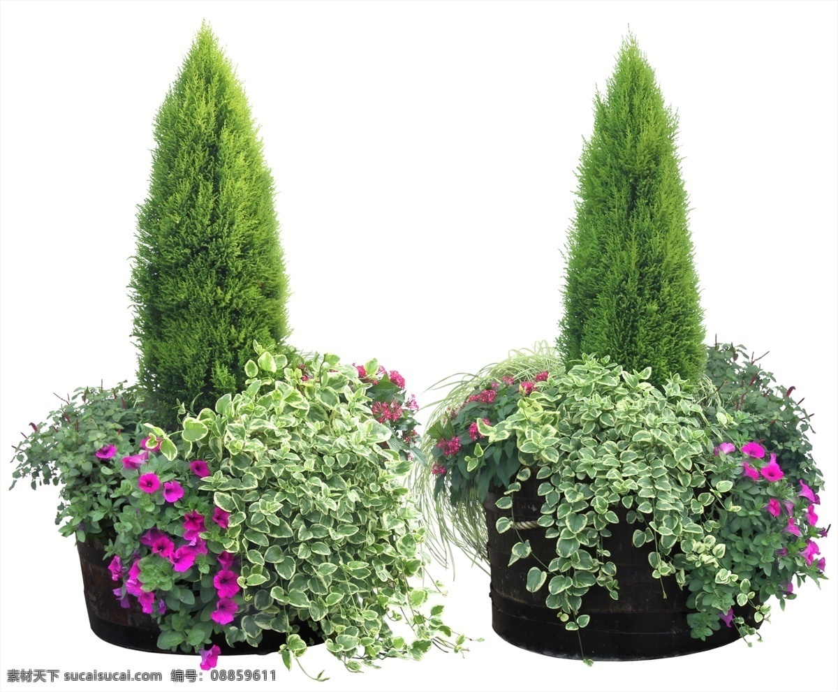 花 树 花园 鲜花盆景 psd源文件