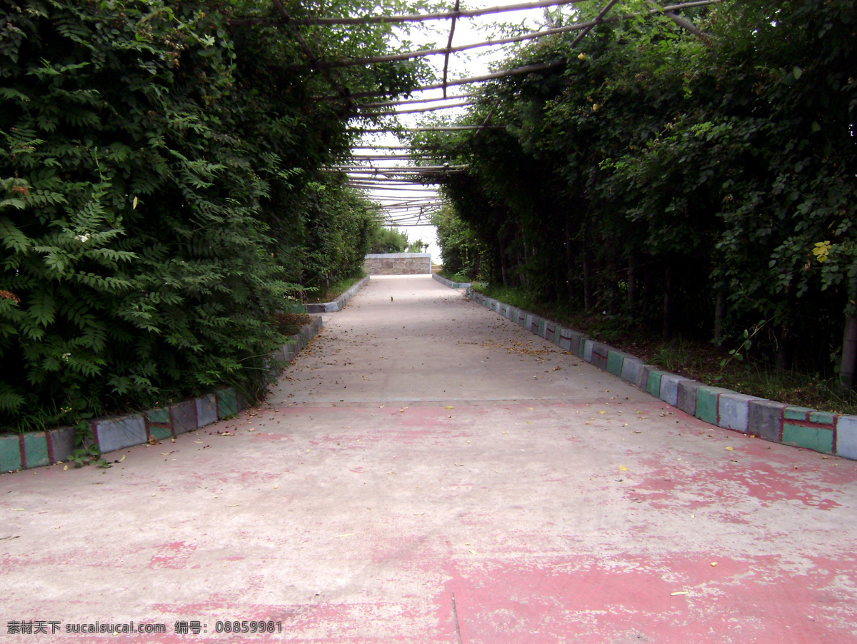 海边 小路 公园 国内旅游 海滩 旅游风景 旅游摄影 绿植 边小路 psd源文件