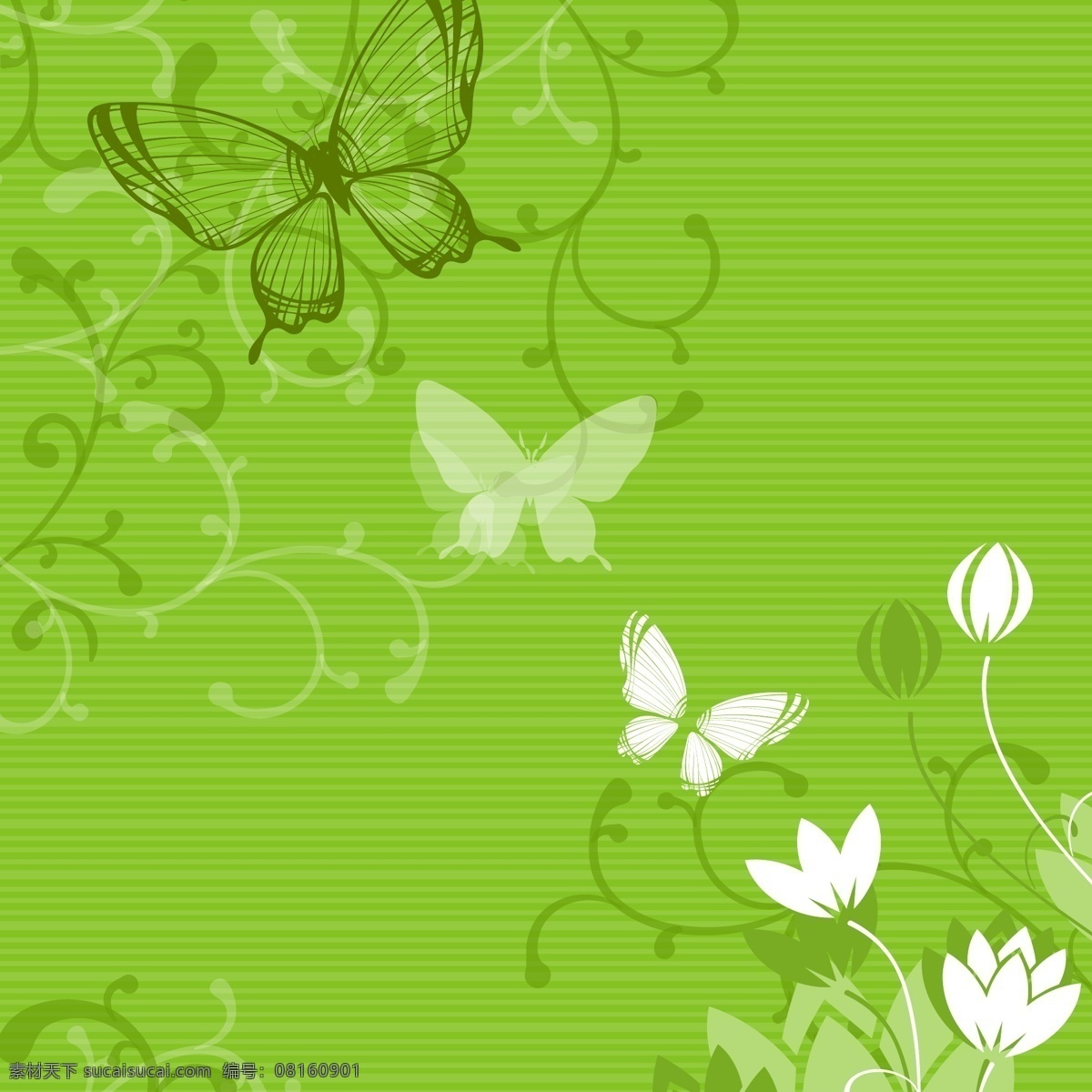 梦幻 花纹 背景 矢量图 花纹花边