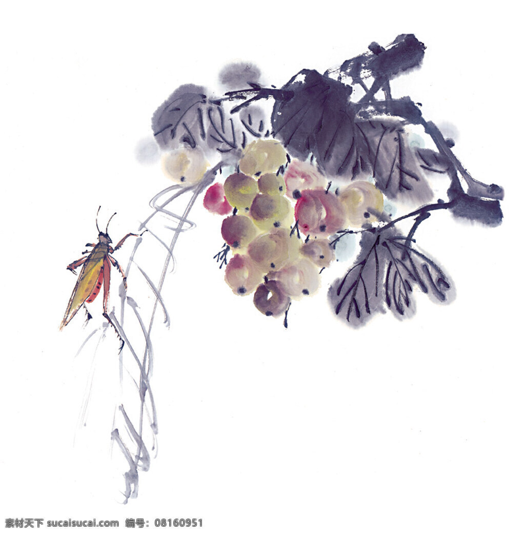 水墨画 蝗虫 昆虫 蚂蚱 蛐蛐 知了 中华艺术绘画 文化艺术